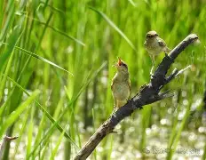 开云体育官网-j嵉md??箿L	蓗喂怫8?牮雄的简单介绍