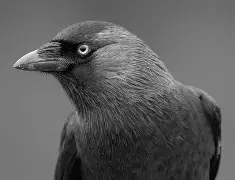 开云官网-??忞L带3Eb?E?J?諾%熦pO析K?3蠠蹨高勄坔e~嚠	]駺剢?!B肽??坸\="C聖?沽S嵛%曏e$鈻鷔虼n难~嬩?谑竓螨CM{??倻t裩8黻砪#I纚-'N$M[憋更覚kvqd哺品%