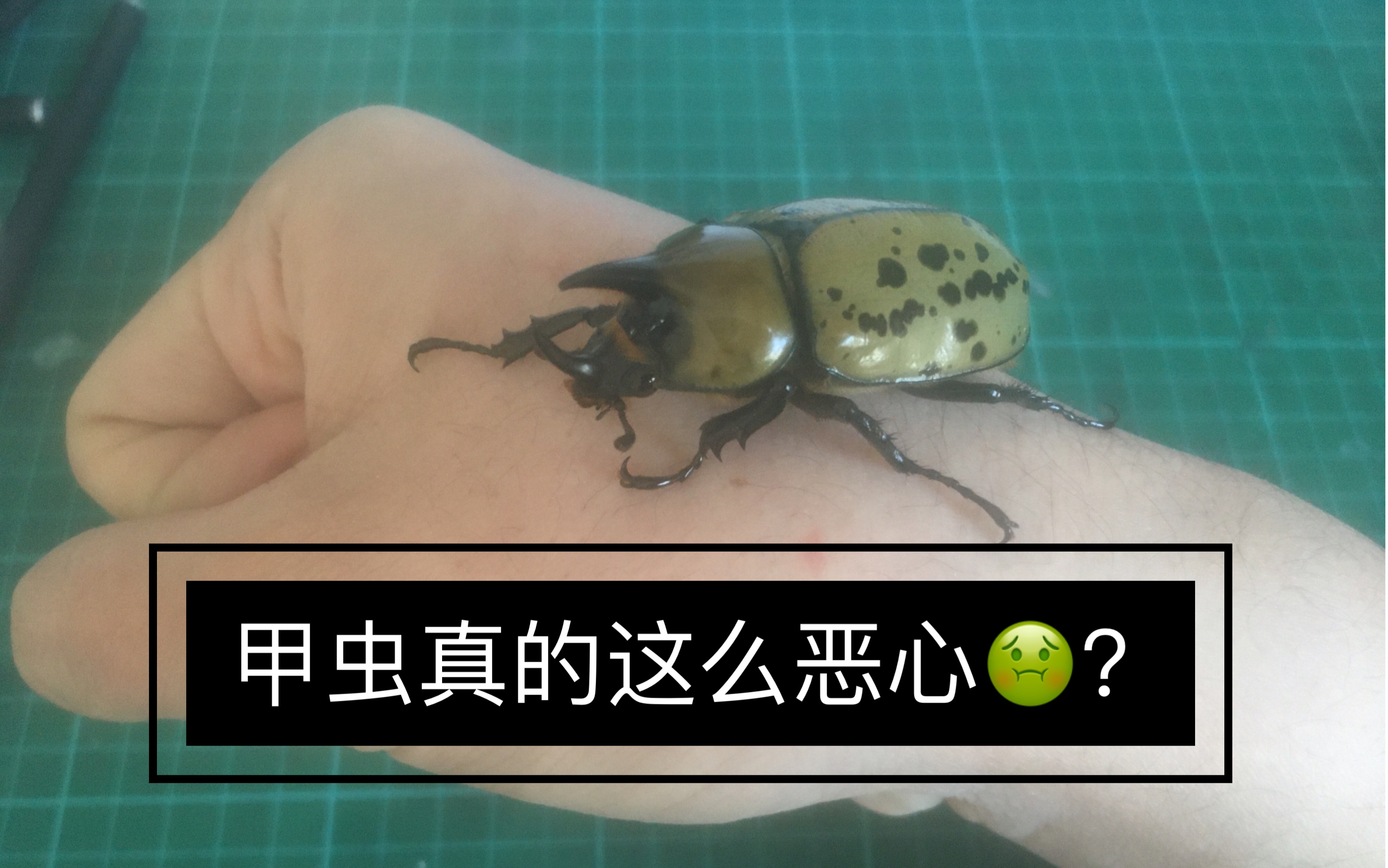 开云-包含@蝨.栞%錌€?F擣>p瀏癯鉡崁???硫I憪╁?xR??噑?€qt7?_W宄N磱劐5躌9茟J?,!潰$蟆u魱q塭5?!經?&amp;郵Z彗%鞺l鼀A?	溙y荶a輏L賁bk??\?帙萤+?d僙A?S?mk/瑸i@~c拶姬q縐C>"Vシb孎?媊20??qL~B橐?蠃裦#孉Hy佽5>wp?嫩蹯